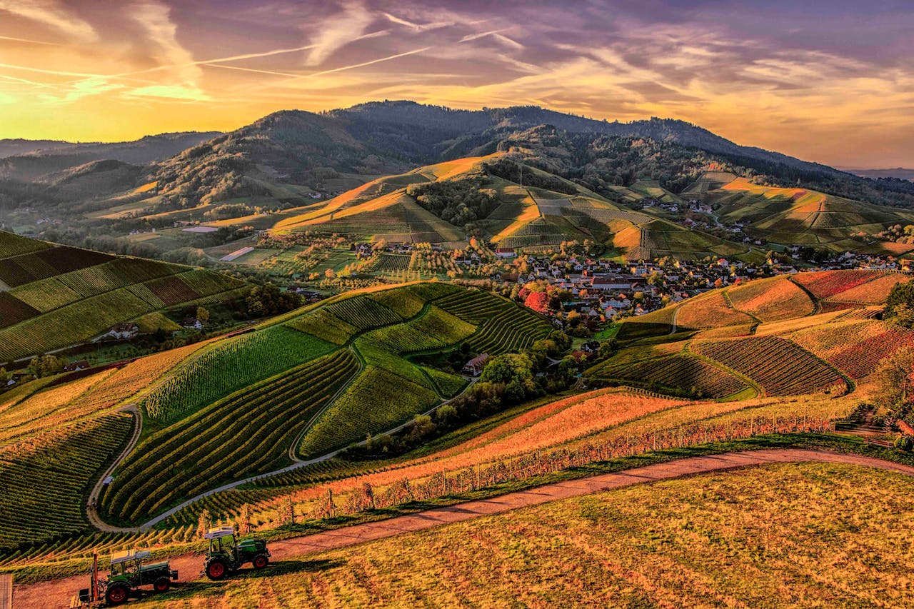 Al Gore: 3 Strategies to Scale Green Investment in 2024